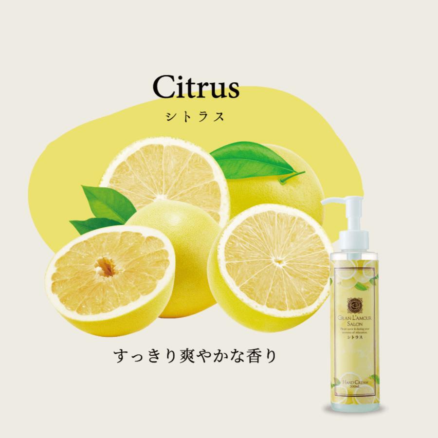 グラン ラ モーレサロン ハンドクリーム GRAN L'A MOUR SALON 手荒れ ポンプタイプ ボタニカル 温感ハンドケア 保湿クリーム ハンドケア グランラモーレサロン |  | 07