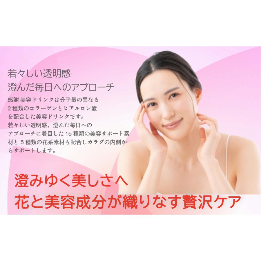 ヒアルロン酸ドリンク コラーゲンドリンク 感謝 ドリンク  (6箱×60本） 美容ドリンク コラーゲン ヒアルロン酸 低分子コラーゲン 低分子ヒアルロン酸 |  | 01