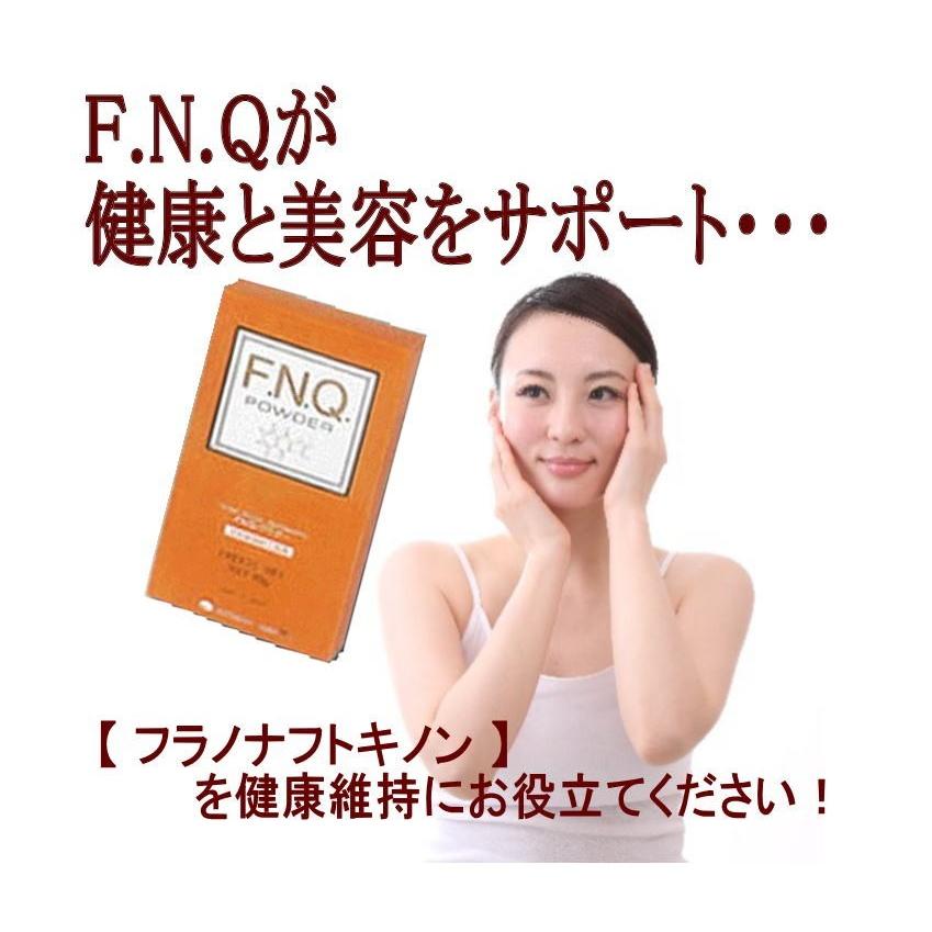 コトブキ FNQパウダー 1箱 イペエキス 粉末 コトブキ FNQ 送料無料 健康食品 霊芝 高麗人参エキス エフエヌキュー 霊芝サプリ 霊芝エキス 高麗人参サプリ | 