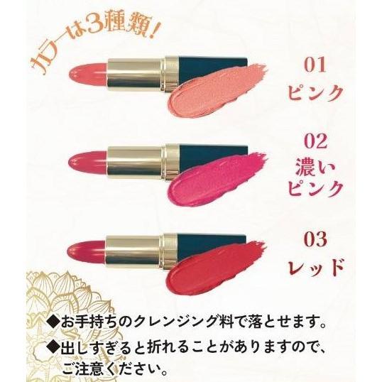 銀座まるかん ｏｈセレブ 近未来ルージュ まるかん化粧品 ポイントメイク リップ 口紅 まるかん 斎藤一人 ひとりさん | 銀座まるかん | 04