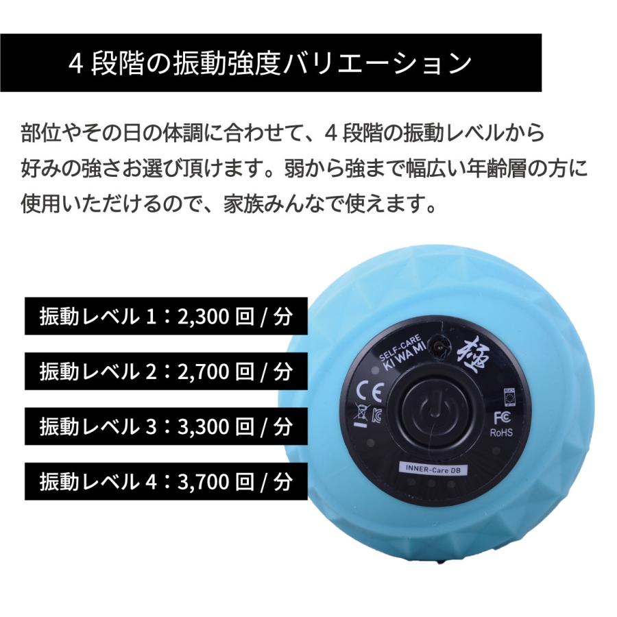 ストレッチボール バイブレーションボール フォームローラー