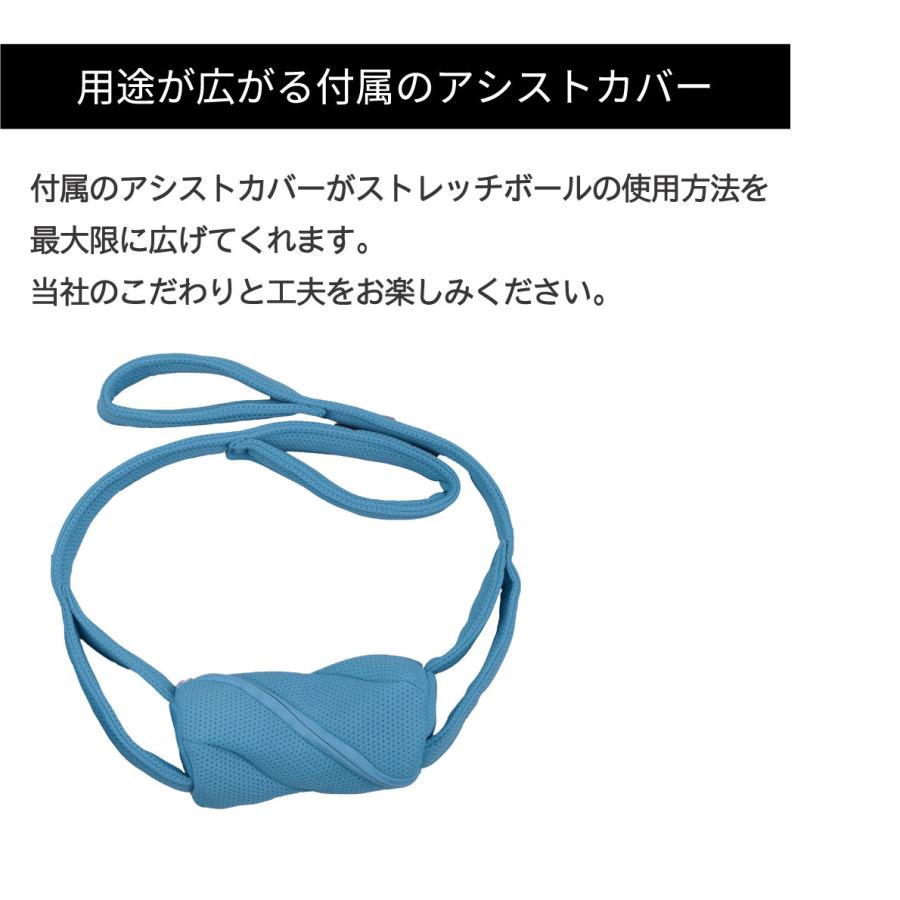 ストレッチボール バイブレーションボール フォームローラー