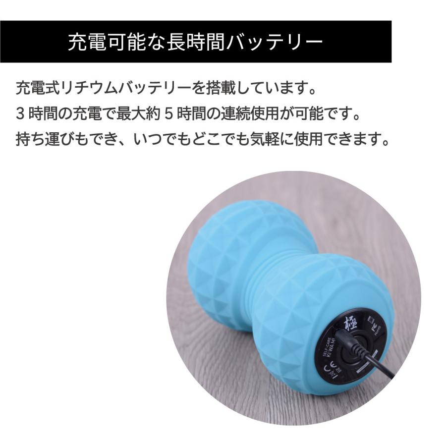 エクストラ　リリース　 振動トレーニングローラー エクストラリリース／GACKTプロデュース／ストレッチサポート