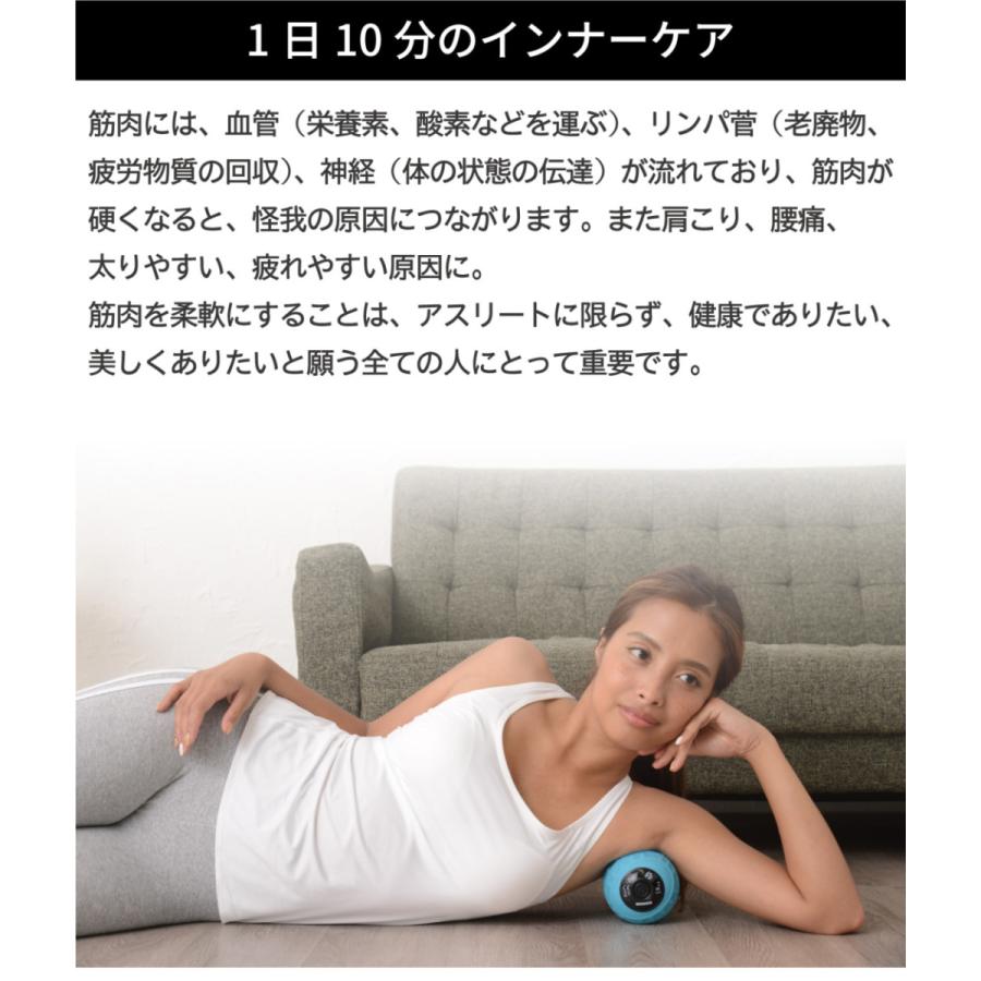 ストレッチボール バイブレーションボール フォームローラー
