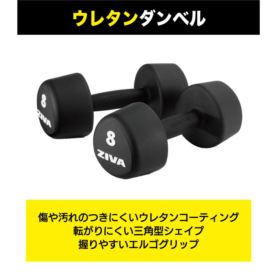 ダンベル ダンベルラック セット 1-10kg 10ペア 20個 ダンベルホルダー