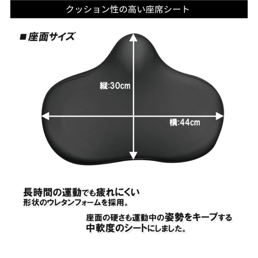 DAIKOU（ダイコー） リカンベントバイク 背もたれ 準業務用 高齢者