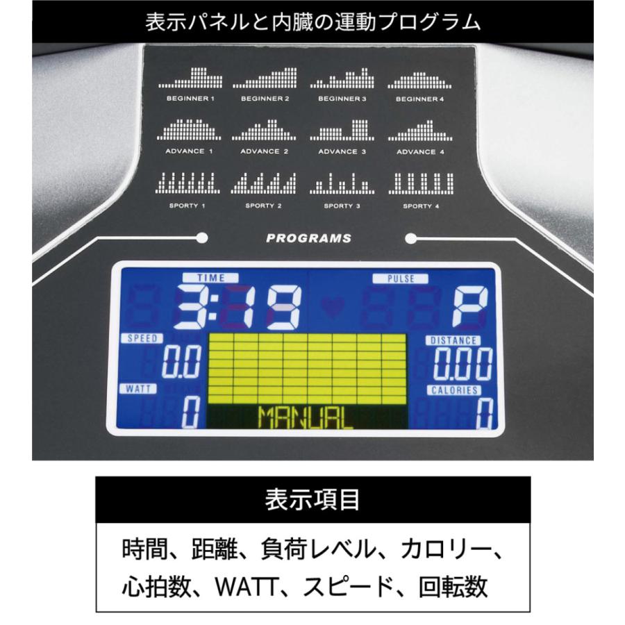 DAIKOU（ダイコー） リカンベントバイク 背もたれ 準業務用 高齢者