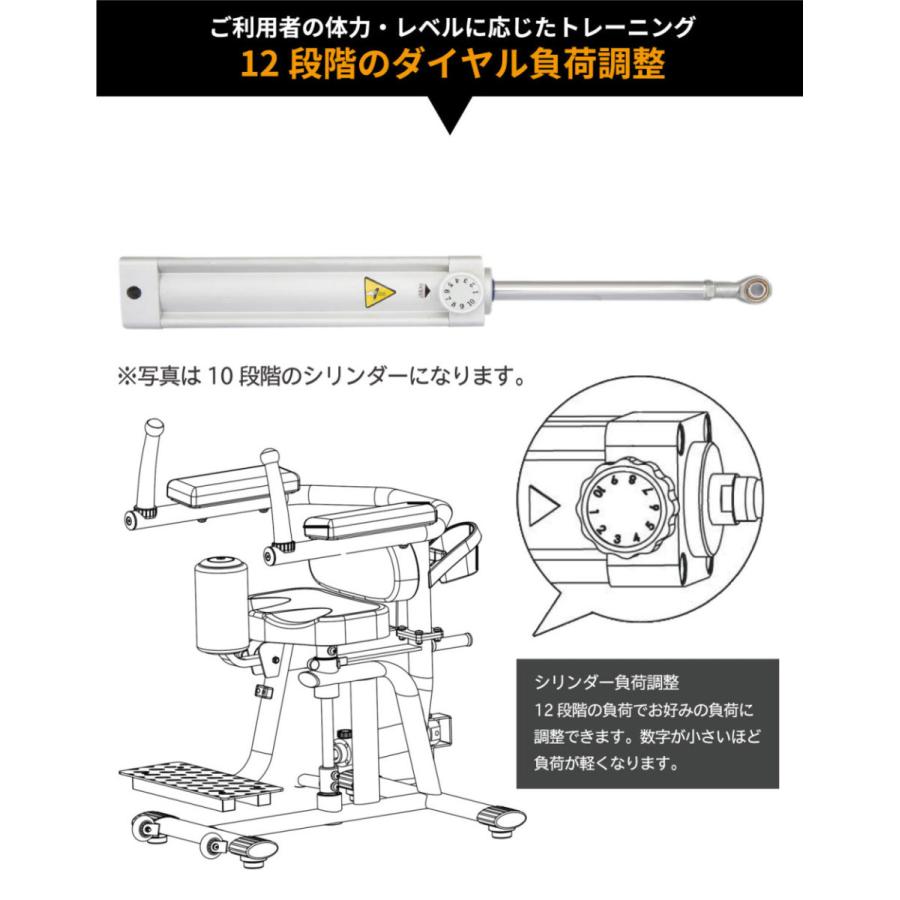 DAIKOU（ダイコー） ロータリートーソ 油圧マシン DK-670 機能訓練