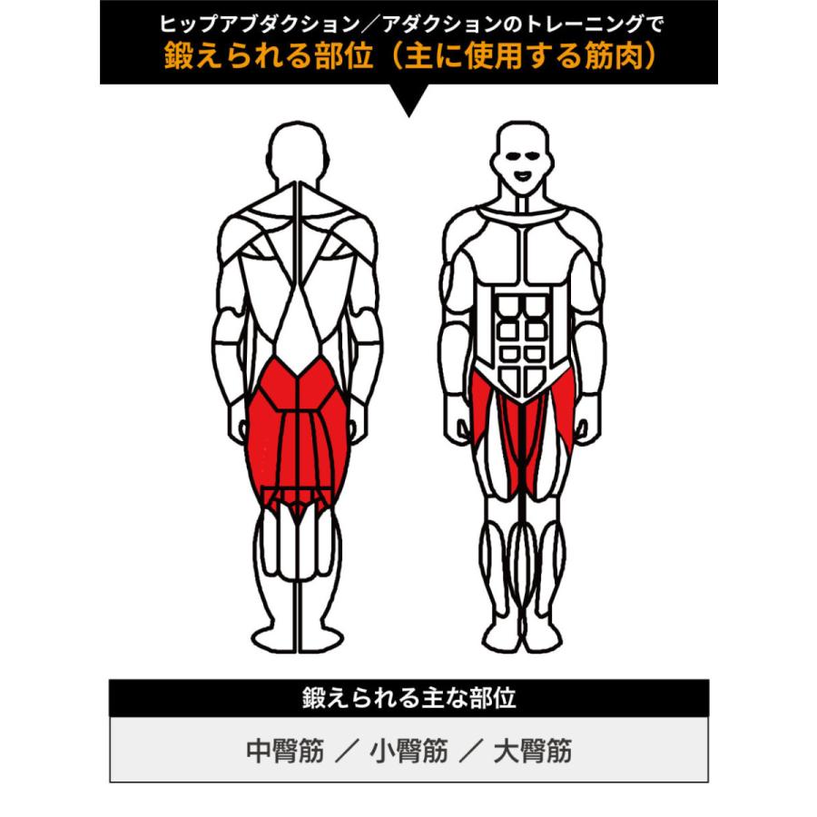 DAIKOU（ダイコー） ヒップアブダクション 油圧マシン DK-674 機能訓練 