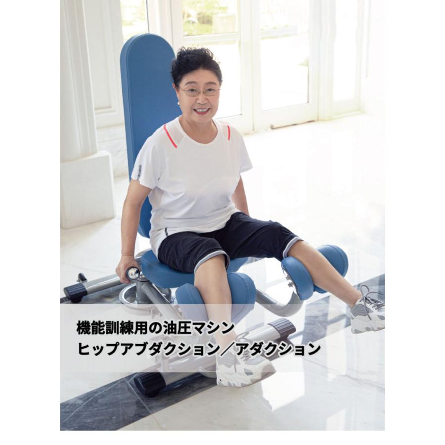 DAIKOU（ダイコー） ヒップアブダクション 油圧マシン DK-674 機能訓練