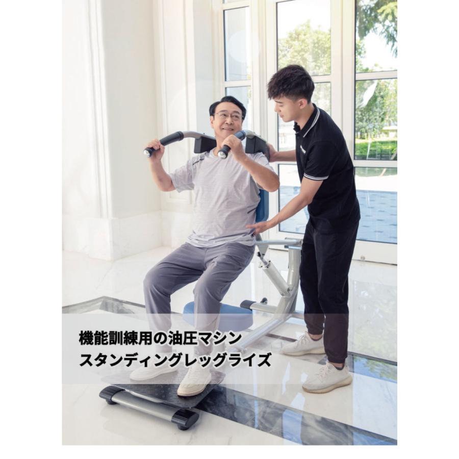 DAIKOU（ダイコー） スタンディングレッグレイズ 油圧マシン DK-675