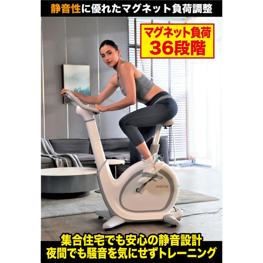 フィットネスバイク 家庭用 エアロ ZWIFT 静音 マグネット FBU-S1 アップライトバイク マット フジモリ FUJIMORI｜ifitness-shop｜07