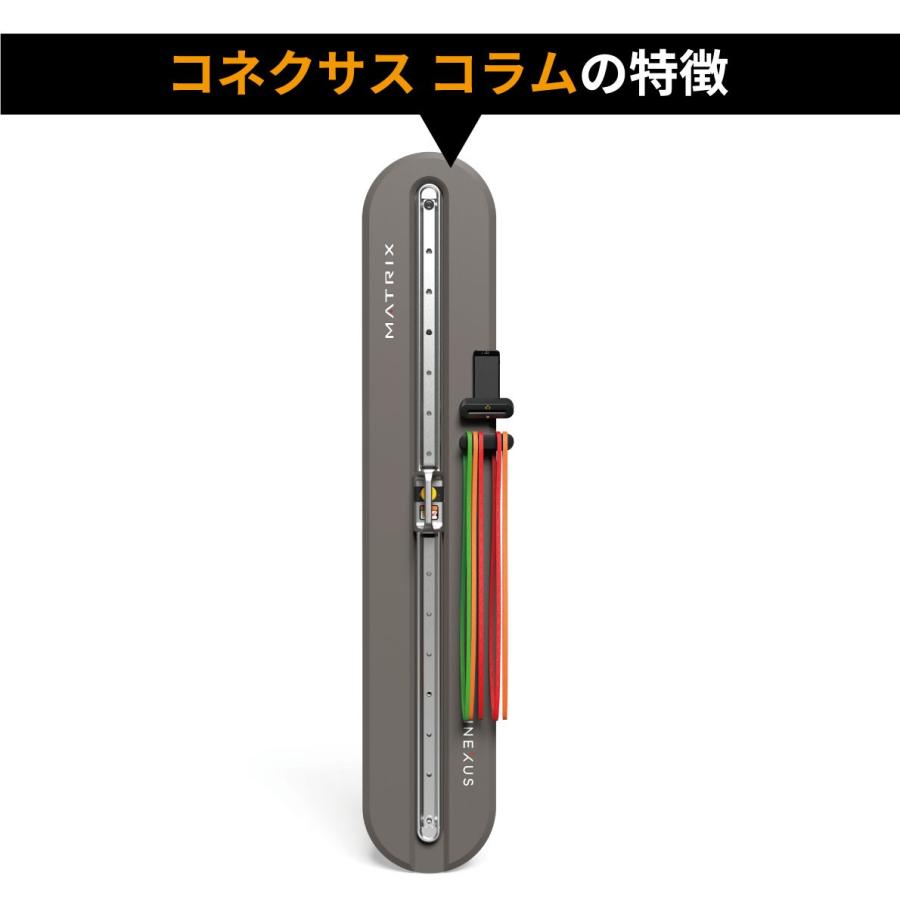 コネクサスコラム ファンクショナルトレーナー 業務用 GFTSLR