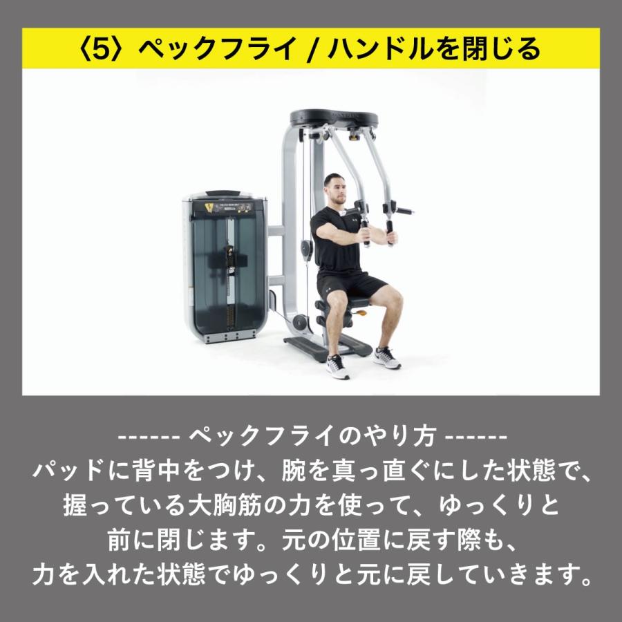 ペックフライ リアデルト G7-S22-V2 ウエイトマシン ウエイト