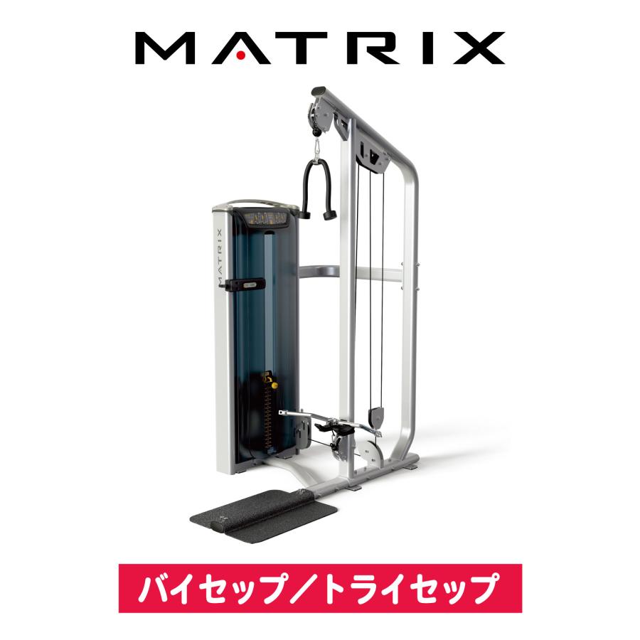 バイセップ トライセップ ウエイトマシン 業務用 ホームジム バイセップ トライセップ ウエイトマシン 業務用 ホームジム