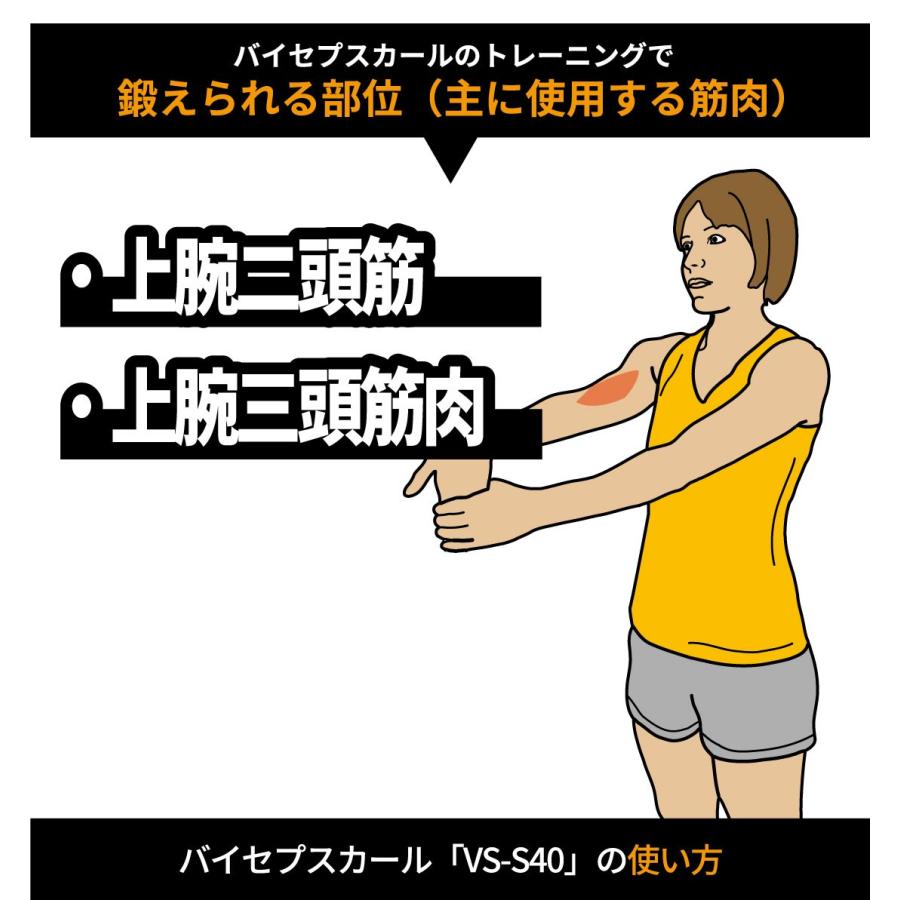 バイセプスカール ウエイトマシン 業務用 ホームジム ウエイト バイセプスカール ウエイトマシン 業務用 ホームジム ウエイト