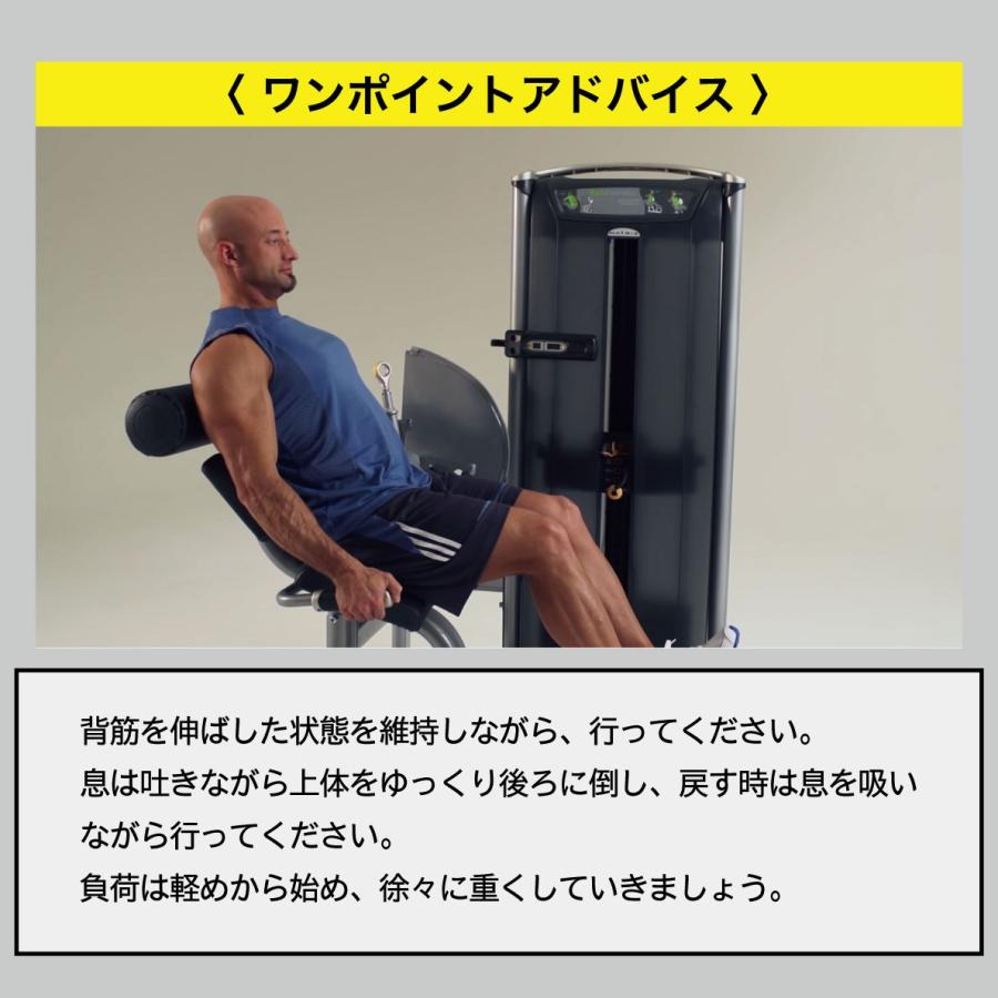 バックエクステンション ウエイトマシン 業務用 ホームジム ウエイト