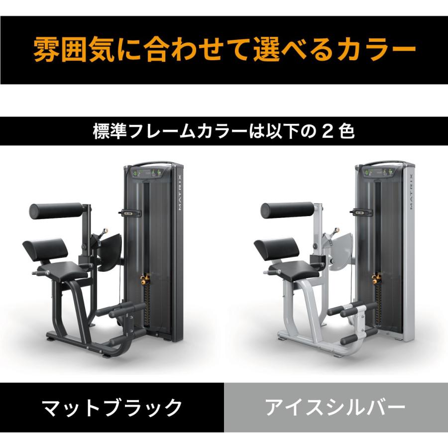 バックエクステンション ウエイトマシン 業務用 ホームジム ウエイト