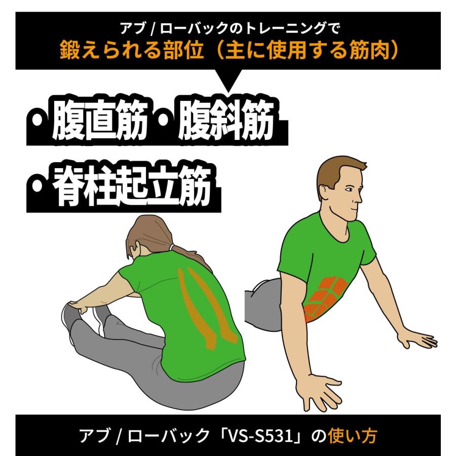 アブ ローバック ウエイトマシン 業務用 ホームジム ウエイト