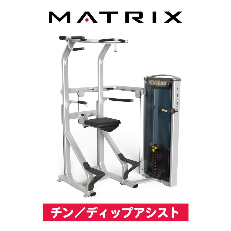 チン ディップアシスト ウエイトマシン 業務用 ホームジム チン ディップアシスト ウエイトマシン 業務用 ホームジム