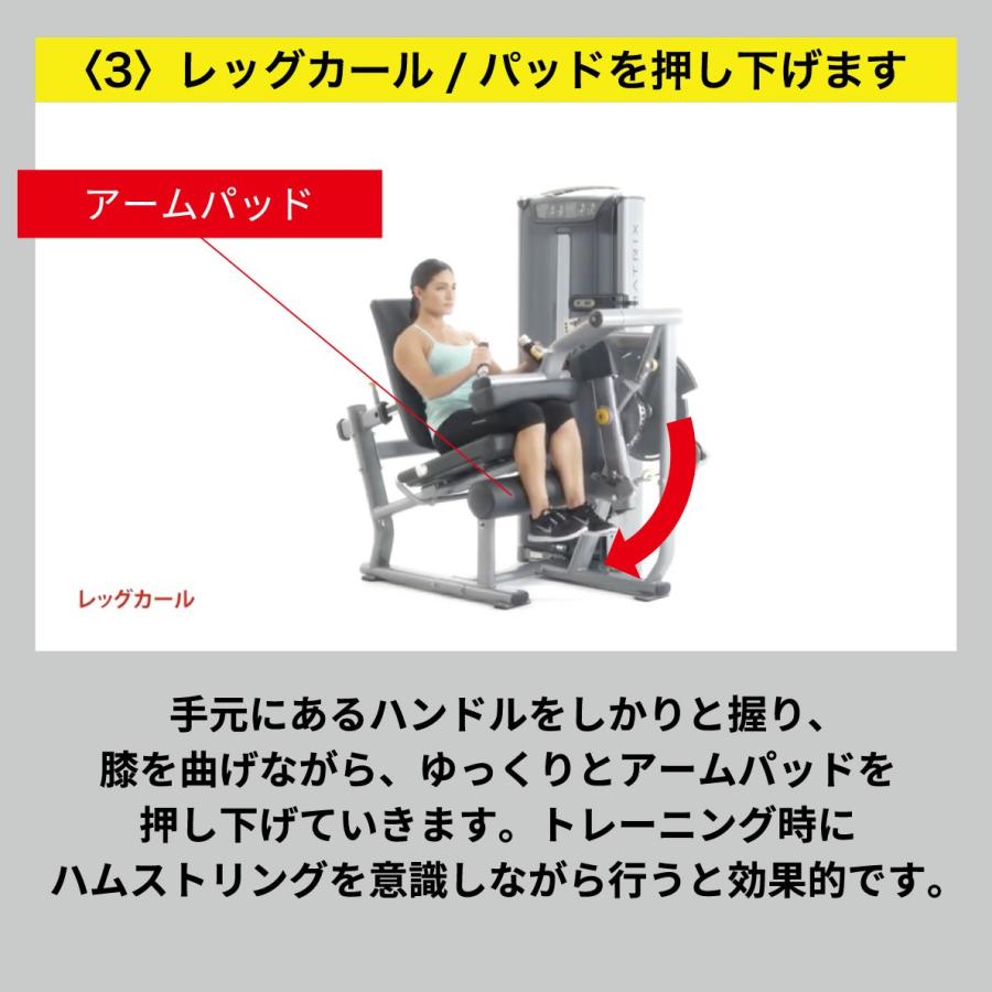 レッグエクステンション レッグカール ウエイトマシン 業務用 ホーム