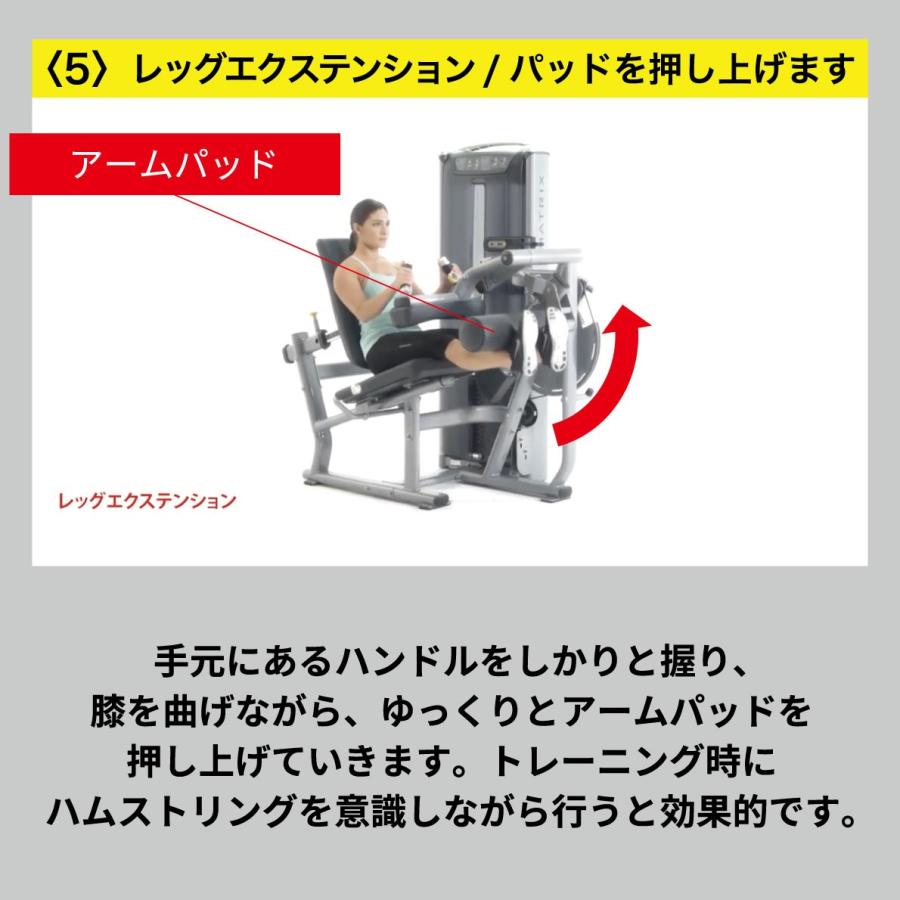 レッグエクステンション レッグカール ウエイトマシン 業務用 ホーム