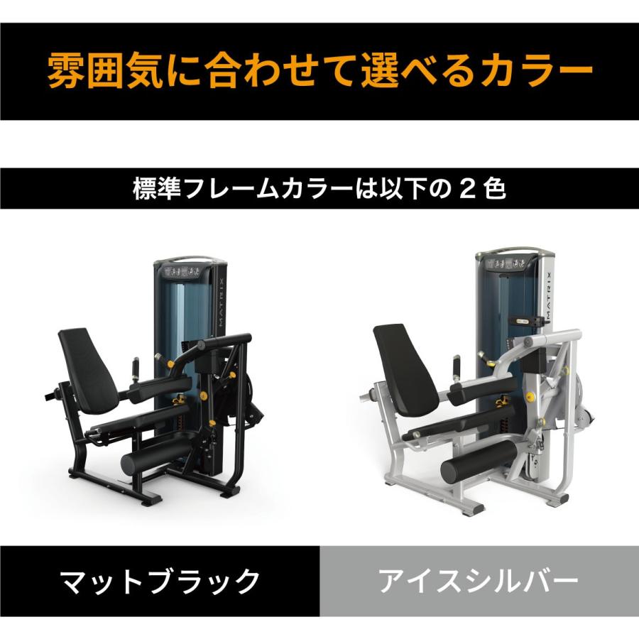レッグエクステンション レッグカール ウエイトマシン 業務用 ホーム