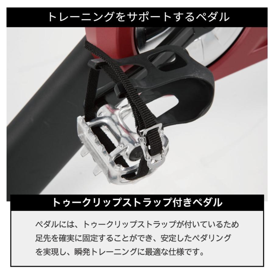 DYACO スピンバイク フィットネスバイク トレーニングバイク 摩擦式 無 