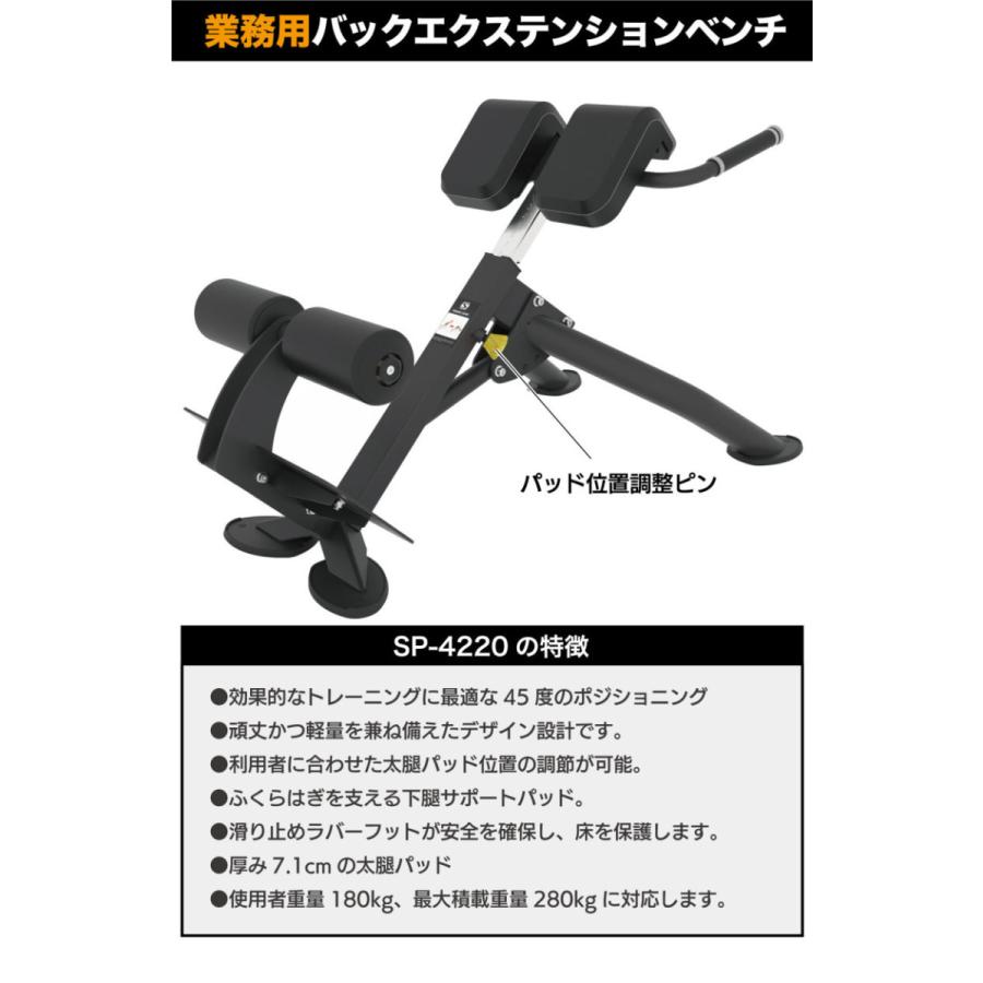DYACO バックエクステンションベンチ ローマンベンチ 背筋