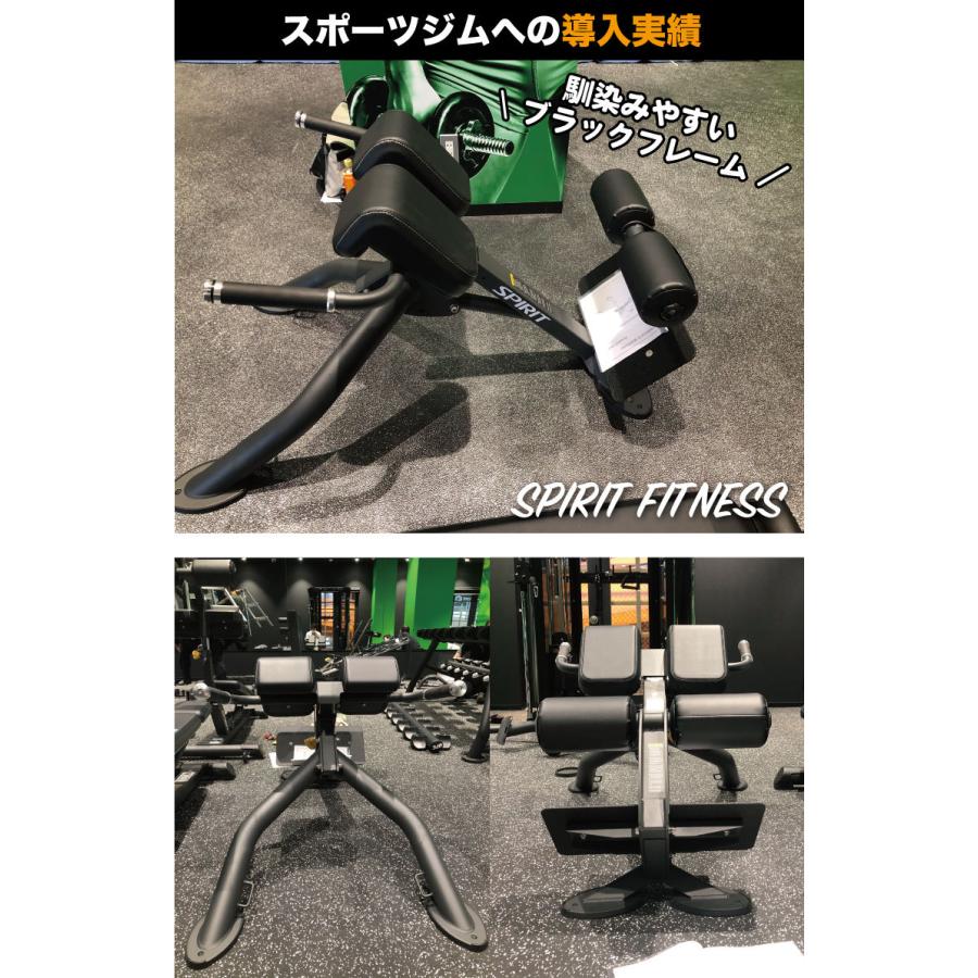 DYACO バックエクステンションベンチ ローマンベンチ 背筋 DYACO バックエクステンションベンチ ローマンベンチ 背筋