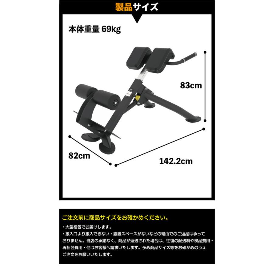 Life Fitness バックエクステンションベンチ バックエクステンションベンチ アポワフィットネス｜商品詳細