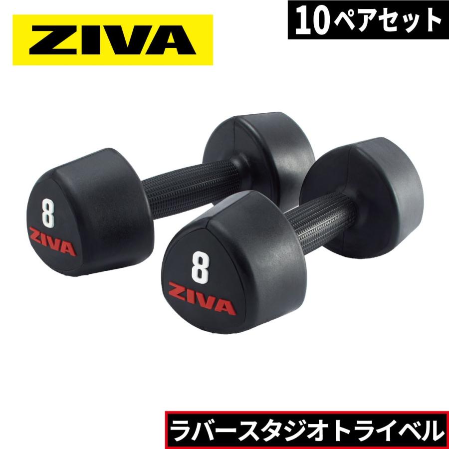 ダンベル ダンベルラック ラバー材質 鉄アレイ 10ペア 1-10kg ラックセット ダンベルホルダー ZIVA