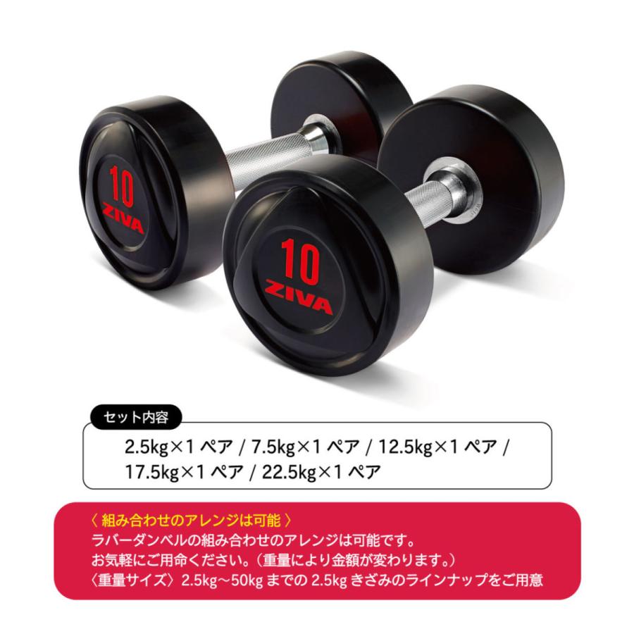 ダンベル ダンベルラック ラバー材質 5ペア 鉄アレイ ラック ダンベル ダンベルラック ラバー材質 5ペア 鉄アレイ ラック