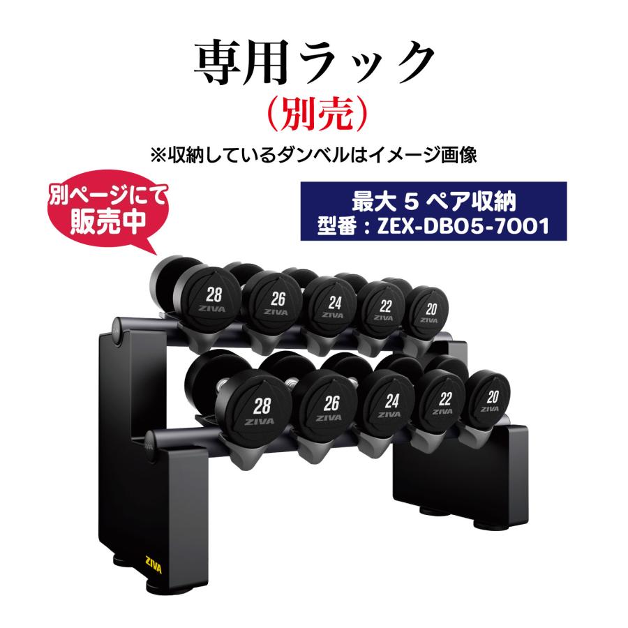 ダンベル DUMBBELL 10個 5ペアセット 42kg-50kg 鉄アレイ