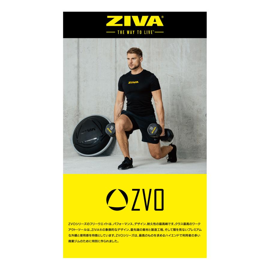 EZカールバー EZバー 1.2m 10kg 径50mm シャフト EZバーベル EZカールバー EZバー 1.2m 10kg 径50mm シャフト EZバーベル