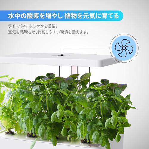 セット 室内 植物育成LEDライト付き 水耕栽培 Amazon.co.jp: iDOO 水耕栽培キット 水耕栽培 セット 室内 植物