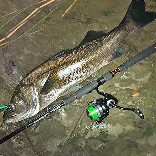 ダイワ(DAIWA) スピニングリール 19 レグザ LT6000D-H (2019 ダイワ(DAIWA) スピニングリール 19 レグザ LT6000D-H (2019