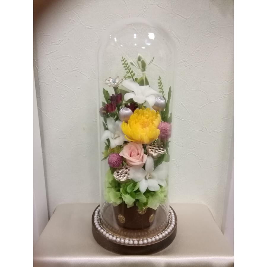 ガラスドーム大（デンファレ） | 