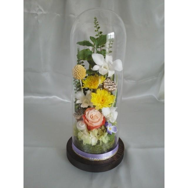 ガラスドーム大（デンファレ） |  | 01