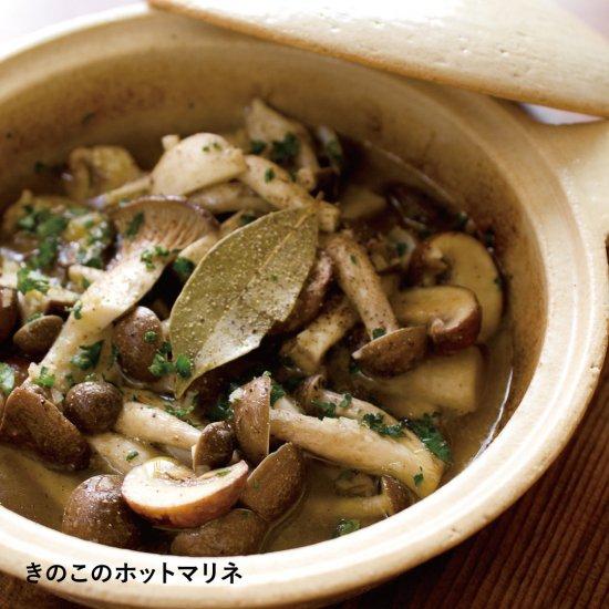 長谷園 公式 キャセロールマイン 200ml 土鍋 日本製 伊賀焼 直火 電子