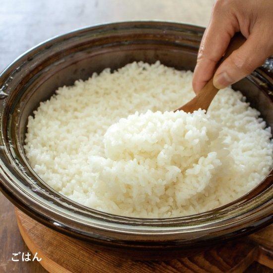 長谷園 公式限定 ヘルシー蒸し鍋 どんぐり 小 1100ml 土鍋 蒸し器 多