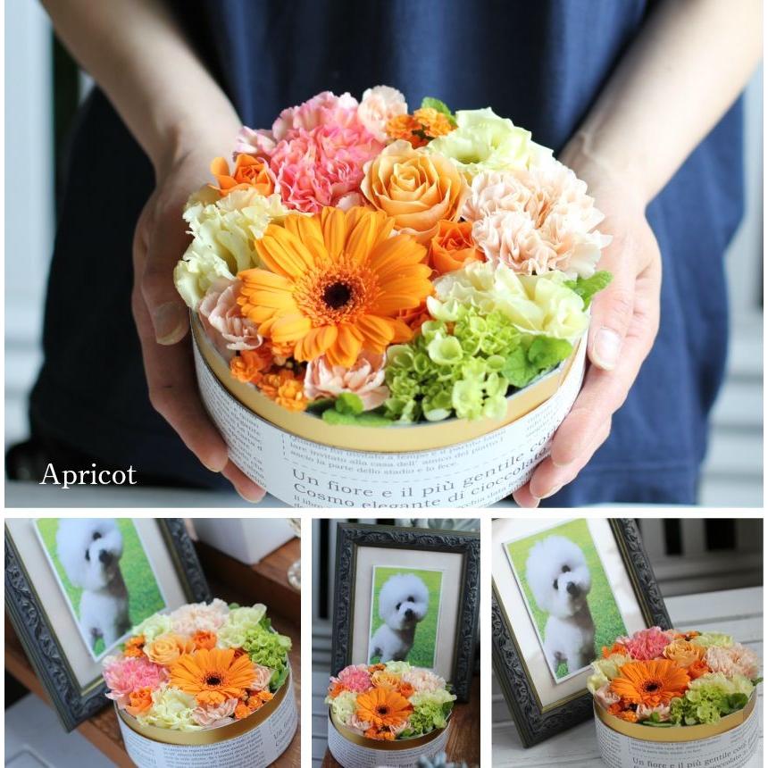 ベーシックギフト 花束 白とオレンジ プレゼント インテリア 花