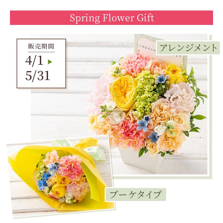 【 スプリング フラワーアレンジメント 】花 ギフト 誕生日 父の日 春 プレゼント アレンジメント フラワー 開店祝い お祝い 卒業 入学 還暦 送料無料|igarashi|07