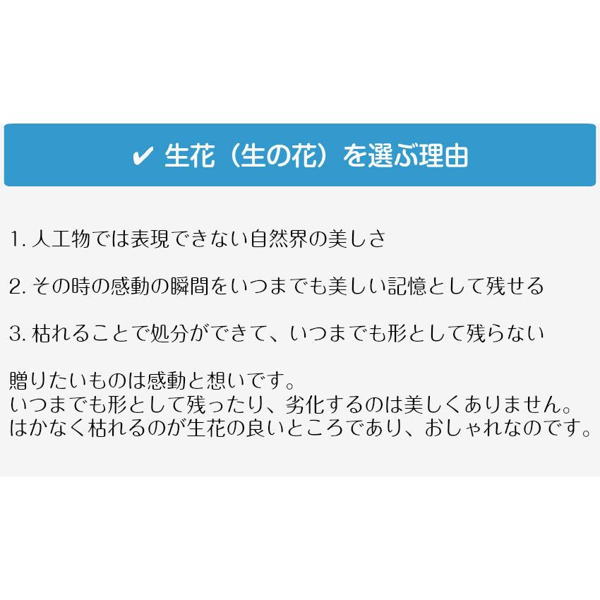 フラワーアレンジメント 花 ギフト 誕生日 クリスマス 冬 プレゼント アレンジメント フラワー 開店祝い お祝い 卒業 入学 |  | 02