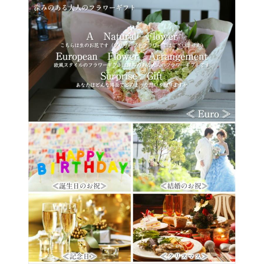 フラワーアレンジメント 花 ギフト 誕生日 クリスマス 冬 プレゼント アレンジメント フラワー 開店祝い お祝い 卒業 入学 |  | 03