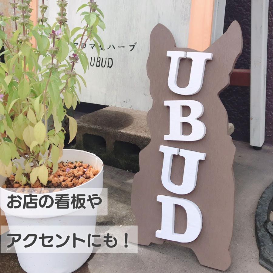 igarden（アイガーデン） 木彫り文字 アイウッド ホワイト 7文字