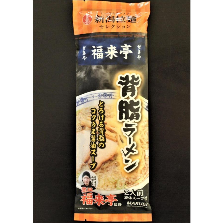 新潟５大らーめん 新潟拉麺セレクション ６食入り 濃厚味噌 ２ 煮干し醤油 ２ 背脂醤油 ２ 超人気店店主監修 人気商品お取り寄せラーメン Niigataramenselection0001 井川商事ヤフーショップ 通販 Yahoo ショッピング