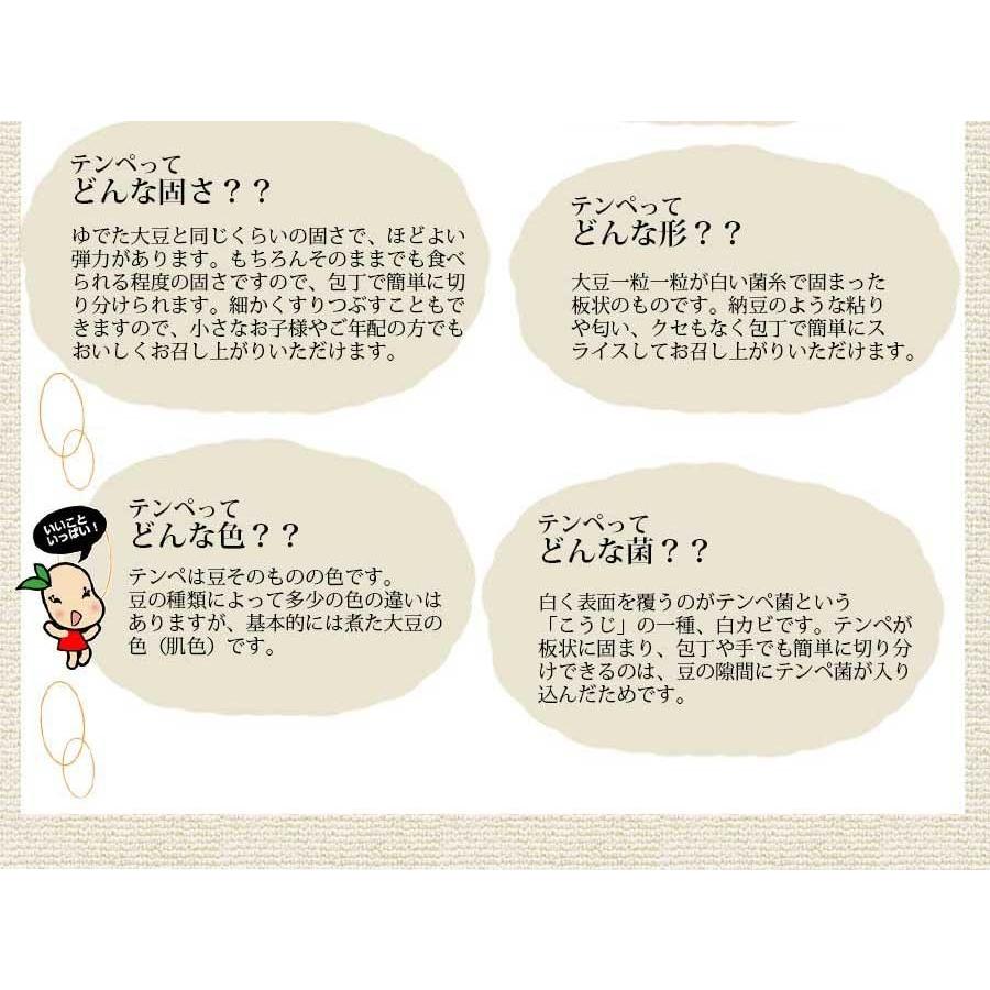 テンペ コレステロール0の栄養豊富な大豆発酵食品 1 5kgセット 100g 15袋 植物性たんぱく質 自然派健康食品 イソフラボン 商品追加値下げ在庫復活 食物繊維が豊富
