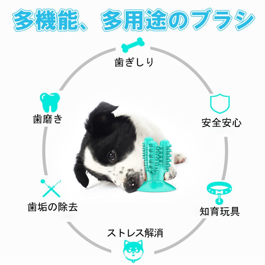 犬噛むおもちゃ ペット用 ワンちゃん歯ブラシ 頑丈 インタラクティブな臼歯噛み 2021年激安 歯のクリーニング 安全 清潔
