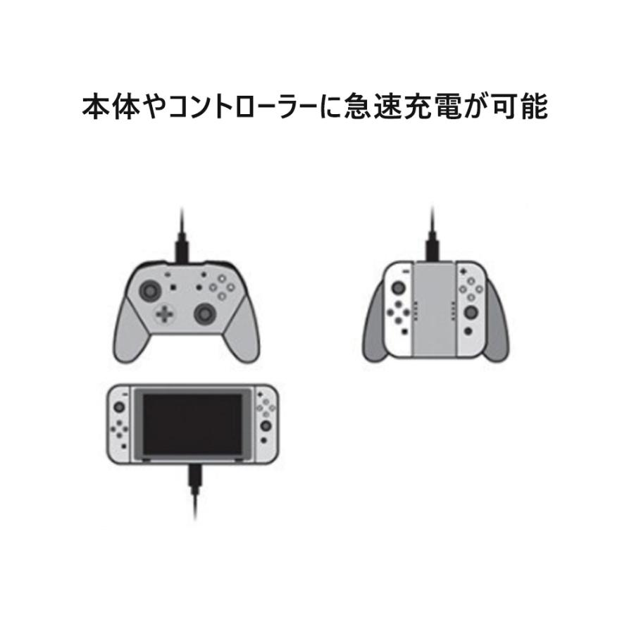 ニンテンドースイッチ用 NS用 ミニ USB タイプC 充電器 急速充電 ニンテンドースイッチ用 NS用 ミニ USB タイプC 充電器 急速充電